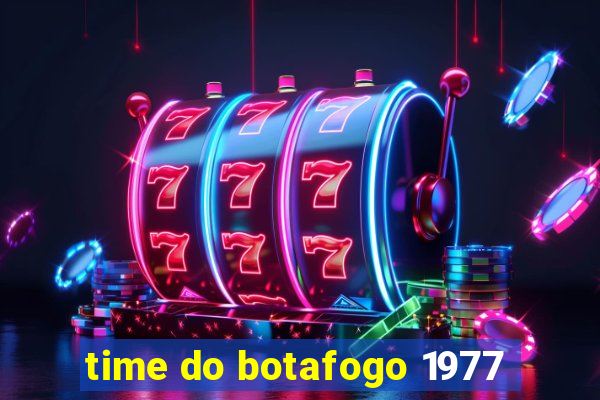 time do botafogo 1977